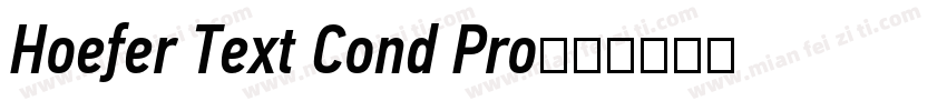 Hoefer Text Cond Pro字体转换